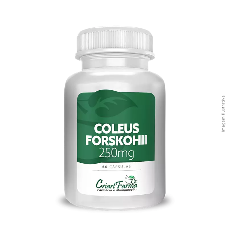 Coleus forskohii 250mg 60 Cápsulas